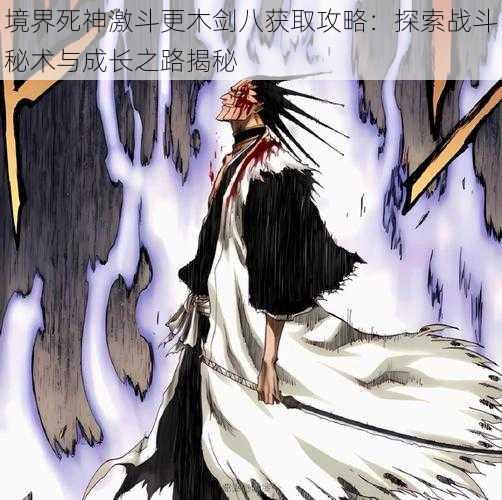 境界死神激斗更木剑八获取攻略:探索战斗秘术与成长之路揭秘