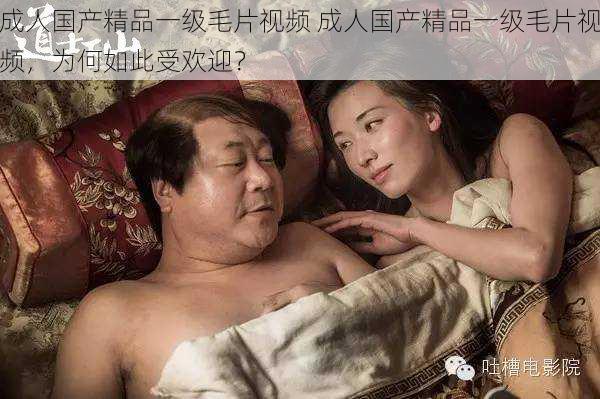 成人国产精品一级毛片视频 成人国产精品一级毛片视频,为何如此受欢迎?