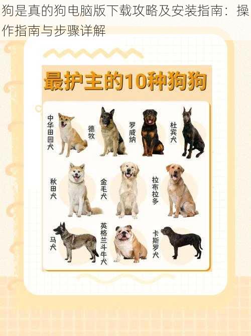 狗是真的狗电脑版下载攻略及安装指南:操作指南与步骤详解