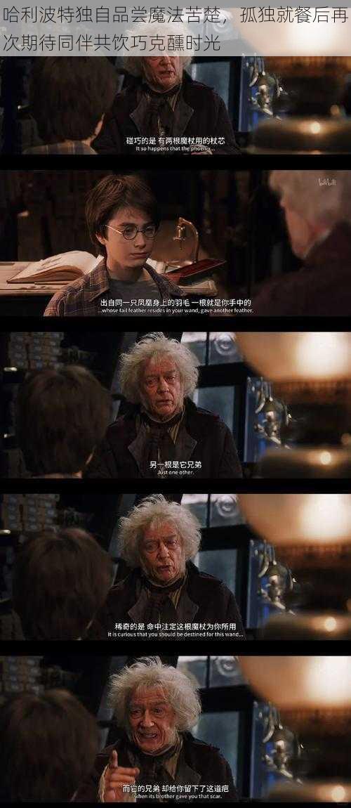 哈利波特独自品尝魔法苦楚,孤独就餐后再次期待同伴共饮巧克醺时光