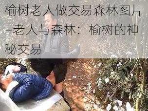 榆树老人做交易森林图片—老人与森林:榆树的神秘交易