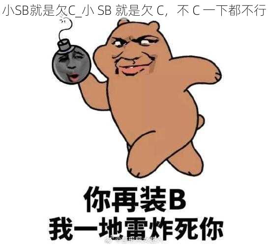 小SB就是欠C_小 SB 就是欠 C,不 C 一下都不行