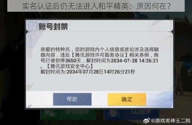 实名认证后仍无法进入和平精英:原因何在?