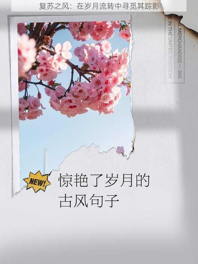 复苏之风:在岁月流转中寻觅其踪影