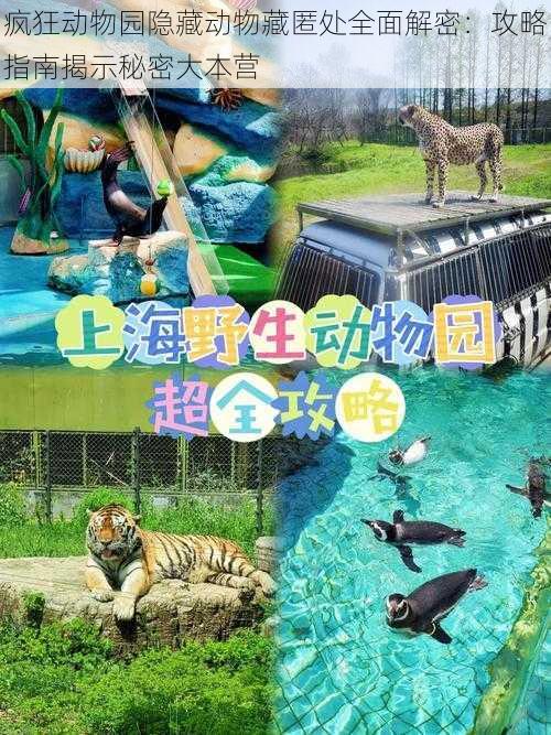 疯狂动物园隐藏动物藏匿处全面解密:攻略指南揭示秘密大本营