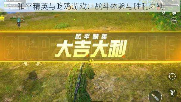 和平精英与吃鸡游戏:战斗体验与胜利之别