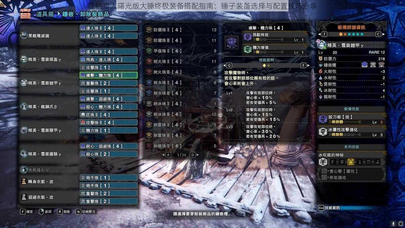 怪物猎人曙光版大锤终极装备搭配指南:锤子装备选择与配置技巧分享