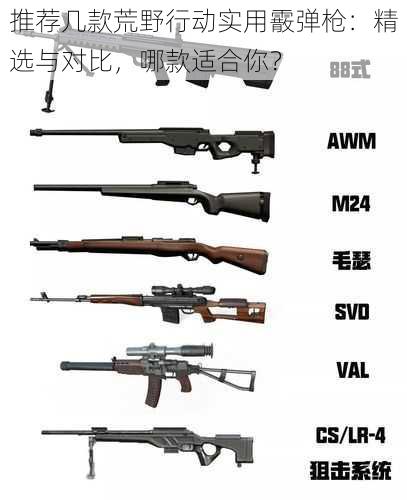 推荐几款荒野行动实用霰弹枪:精选与对比,哪款适合你?