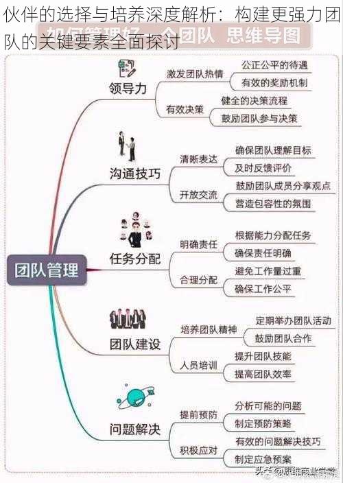 伙伴的选择与培养深度解析:构建更强力团队的关键要素全面探讨