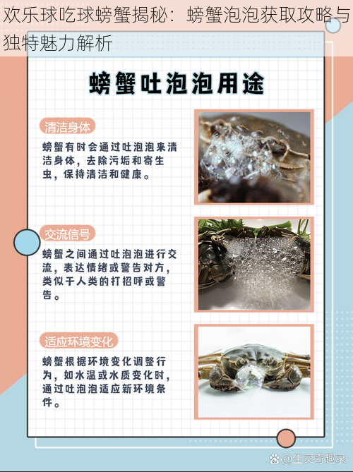 欢乐球吃球螃蟹揭秘:螃蟹泡泡获取攻略与独特魅力解析