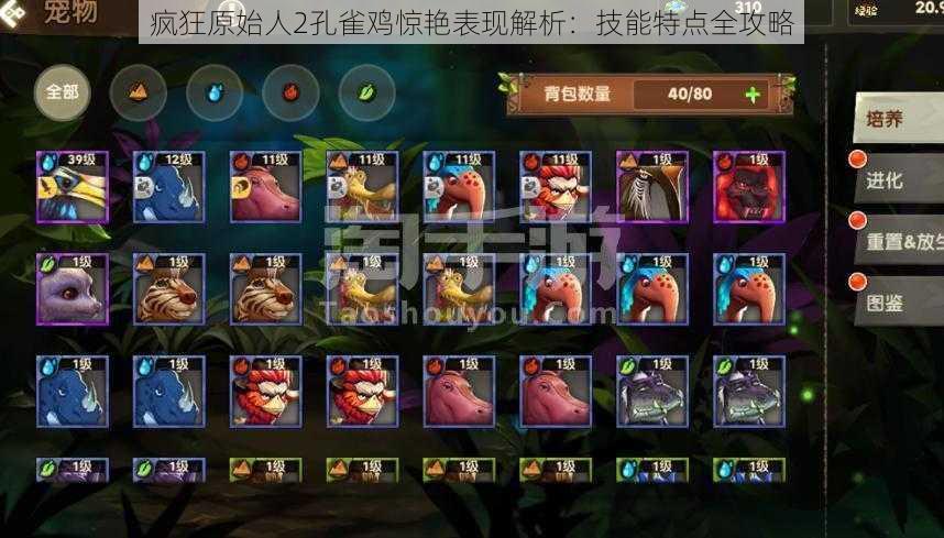 疯狂原始人2孔雀鸡惊艳表现解析:技能特点全攻略