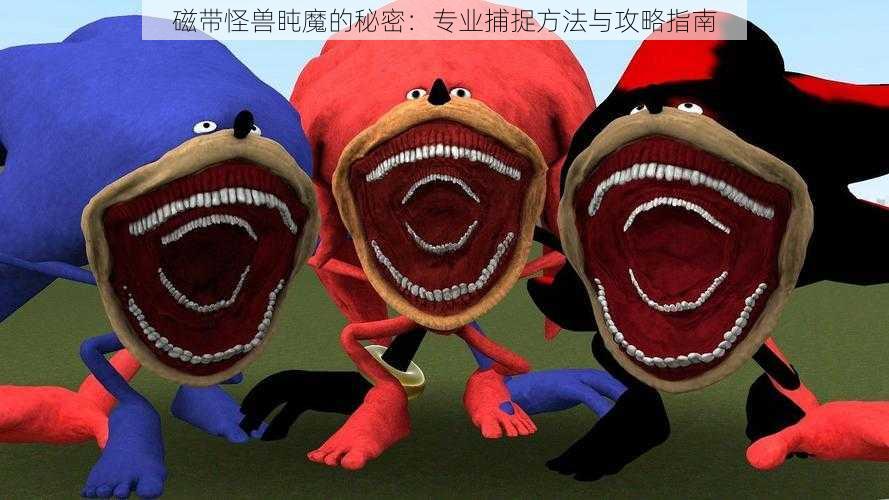 磁带怪兽盹魔的秘密:专业捕捉方法与攻略指南