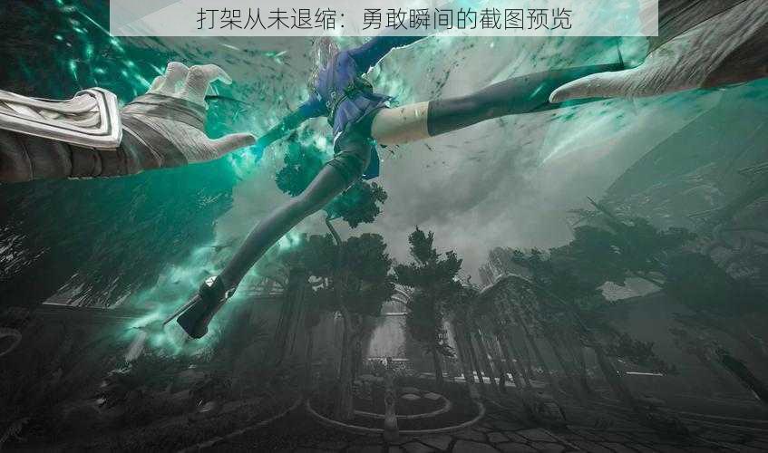 打架从未退缩:勇敢瞬间的截图预览