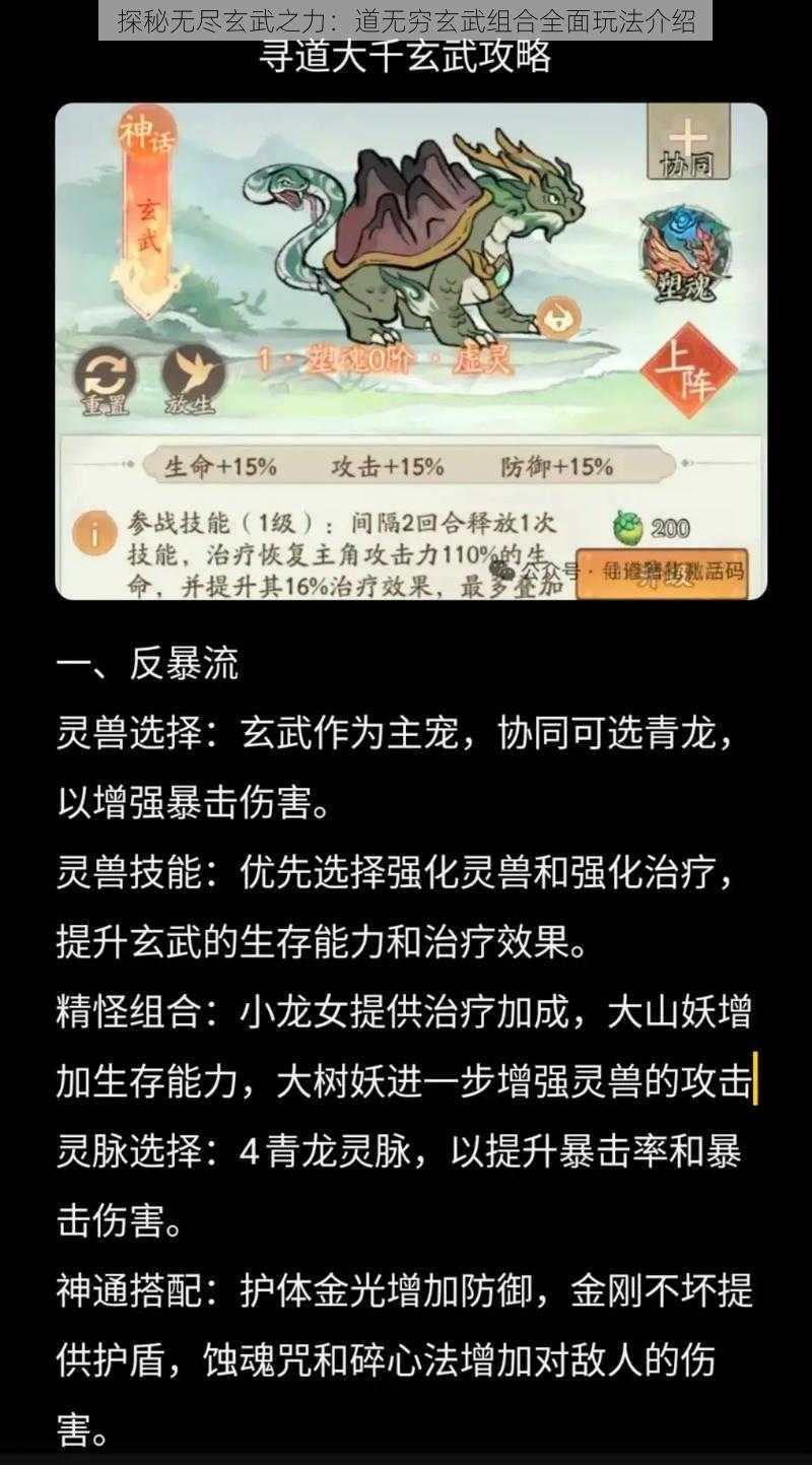 探秘无尽玄武之力:道无穷玄武组合全面玩法介绍