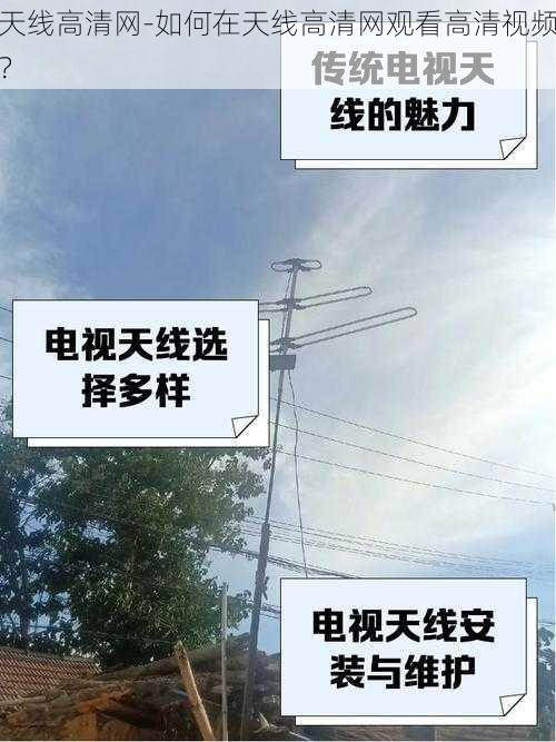 天线高清网-如何在天线高清网观看高清视频?