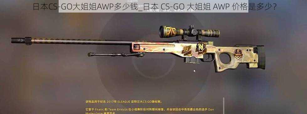 日本CS-GO大姐姐AWP多少钱_日本 CS-GO 大姐姐 AWP 价格是多少?