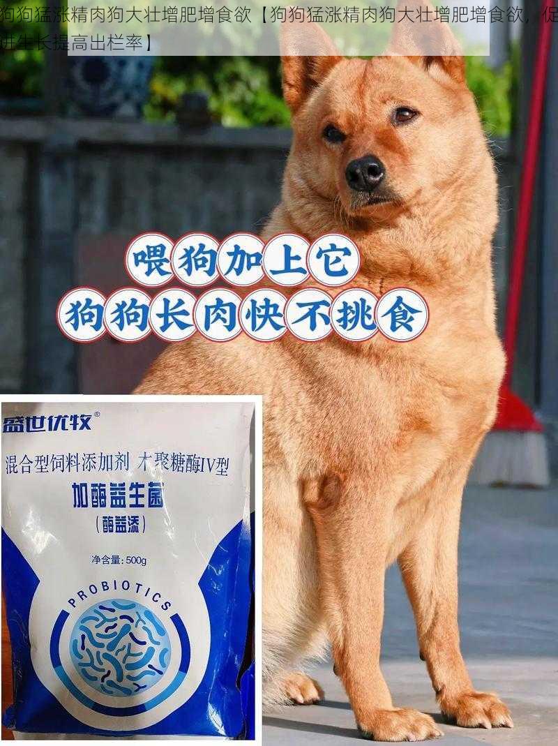 狗狗猛涨精肉狗大壮增肥增食欲【狗狗猛涨精肉狗大壮增肥增食欲,促进生长提高出栏率】