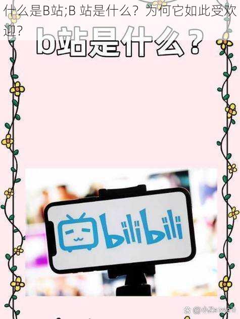 什么是B站;B 站是什么?为何它如此受欢迎?