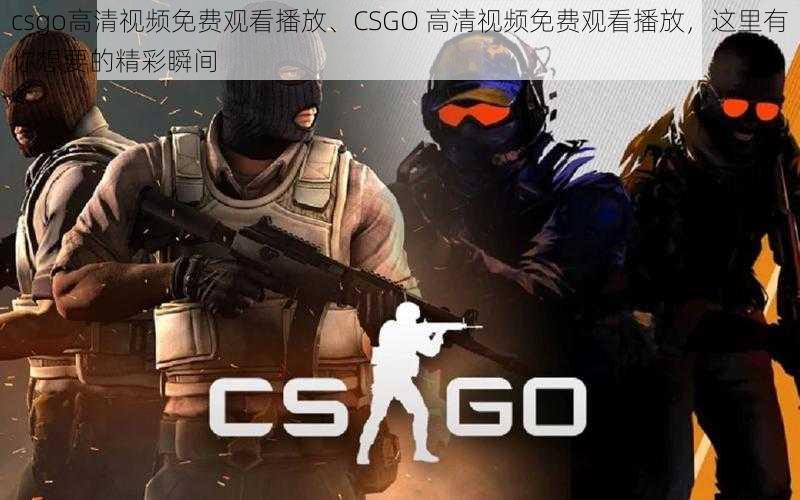 csgo高清视频免费观看播放、CSGO 高清视频免费观看播放,这里有你想要的精彩瞬间