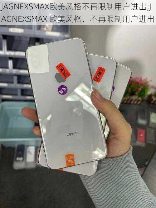 JAGNEXSMAX欧美风格不再限制用户进出;JAGNEXSMAX 欧美风格,不再限制用户进出