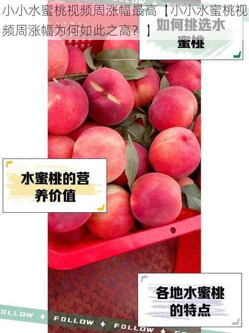 小小水蜜桃视频周涨幅最高【小小水蜜桃视频周涨幅为何如此之高?】