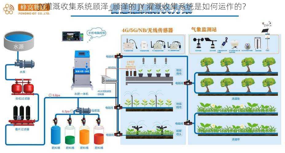 JY灌溉收集系统顾泽_顾泽的 JY 灌溉收集系统是如何运作的?