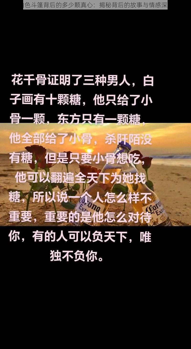 白色斗篷背后的多少颗真心:揭秘背后的故事与情感深度
