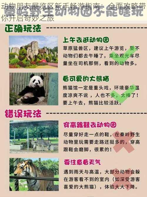 动物朋友展览区新手畅游指南:全面攻略带你开启奇妙之旅