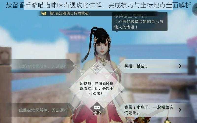 楚留香手游喵喵咪咪奇遇攻略详解:完成技巧与坐标地点全面解析