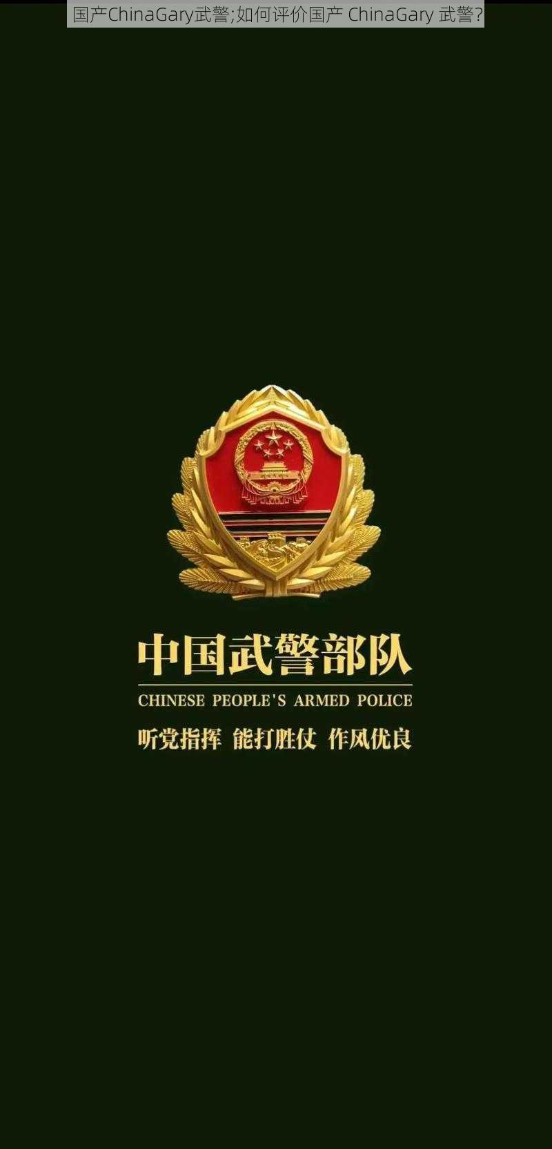 国产ChinaGary武警;如何评价国产 ChinaGary 武警?