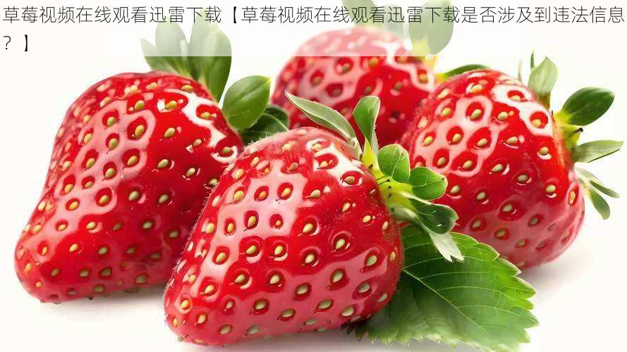 草莓视频在线观看迅雷下载【草莓视频在线观看迅雷下载是否涉及到违法信息?】