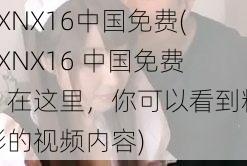 XXNX16中国免费(XXNX16 中国免费:在这里,你可以看到精彩的视频内容)