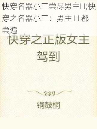快穿名器小三尝尽男主H;快穿之名器小三:男主 H 都尝遍