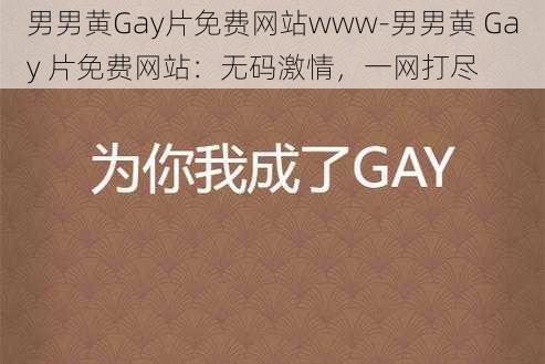 男男黄Gay片免费网站www-男男黄 Gay 片免费网站:无码激情,一网打尽