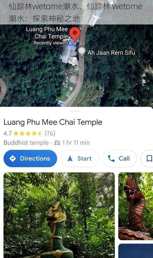 仙踪林wetome潮水、仙踪林 wetome 潮水:探索神秘之地
