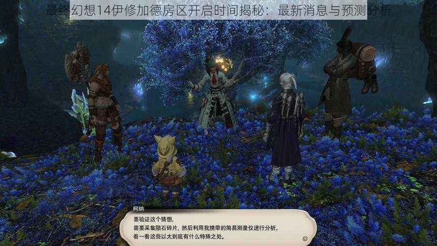 最终幻想14伊修加德房区开启时间揭秘:最新消息与预测分析