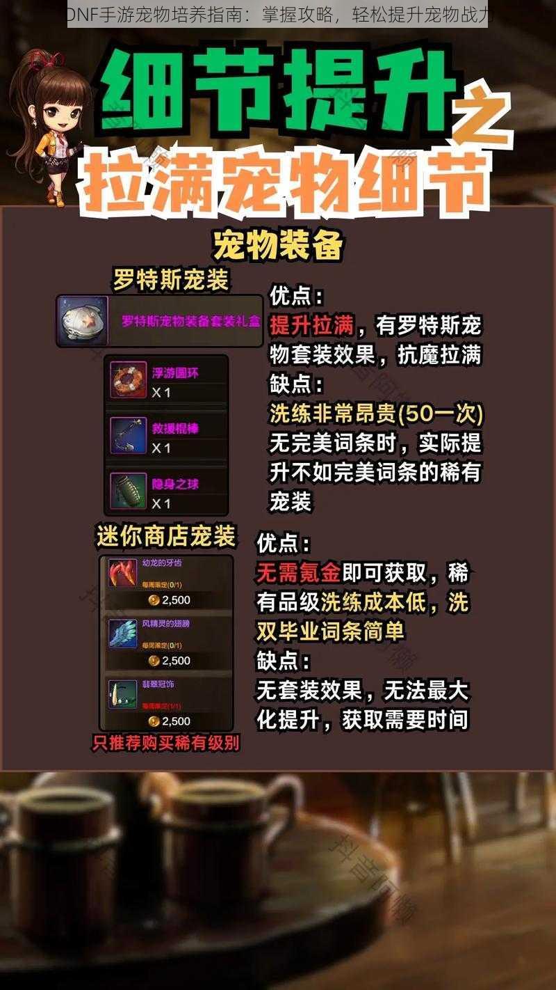 DNF手游宠物培养指南:掌握攻略,轻松提升宠物战力