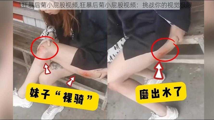 狂暴后菊小屁股视频,狂暴后菊小屁股视频：挑战你的视觉极限