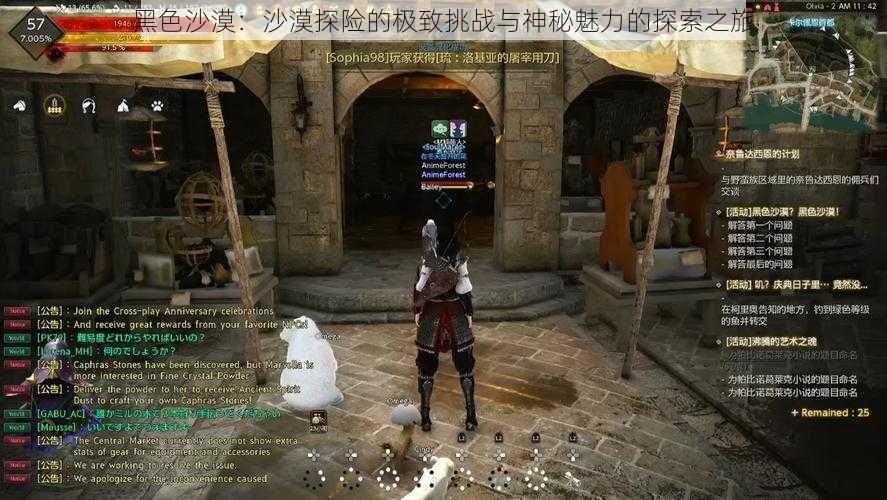 黑色沙漠:沙漠探险的极致挑战与神秘魅力的探索之旅
