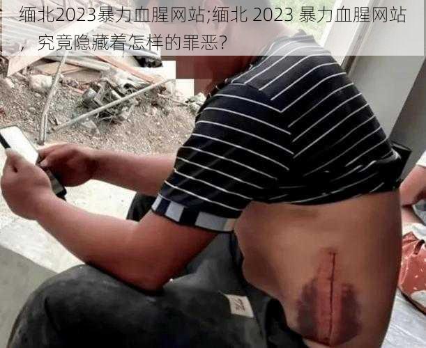 缅北2023暴力血腥网站;缅北 2023 暴力血腥网站,究竟隐藏着怎样的罪恶?