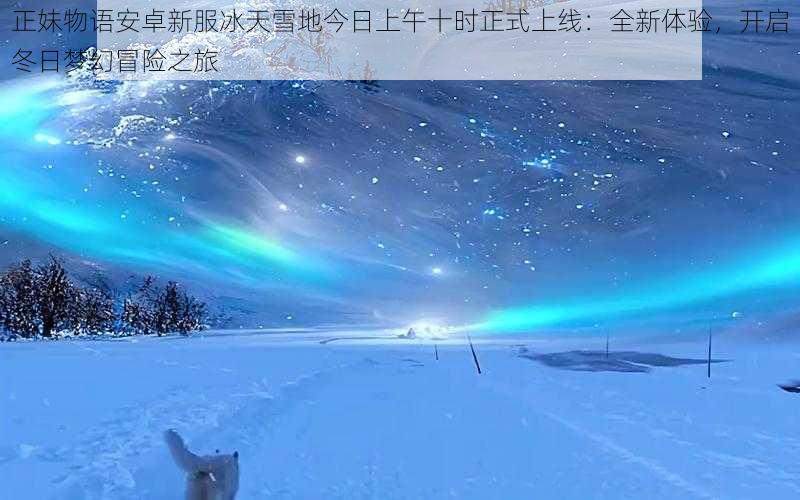 正妹物语安卓新服冰天雪地今日上午十时正式上线:全新体验,开启冬日梦幻冒险之旅