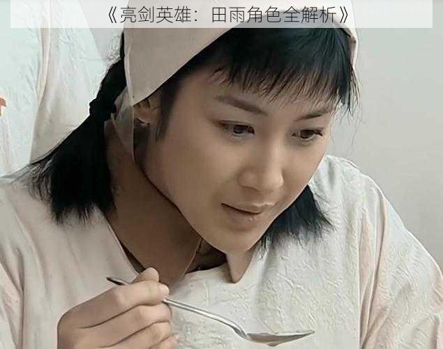 《亮剑英雄:田雨角色全解析》