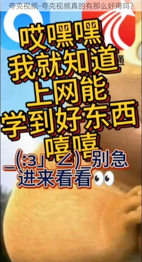 夸克视频-夸克视频真的有那么好用吗?