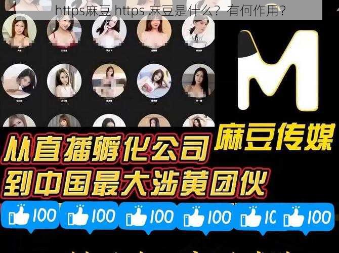 https麻豆 https 麻豆是什么?有何作用?