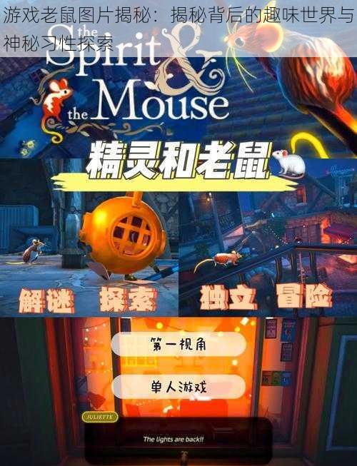游戏老鼠图片揭秘:揭秘背后的趣味世界与神秘习性探索