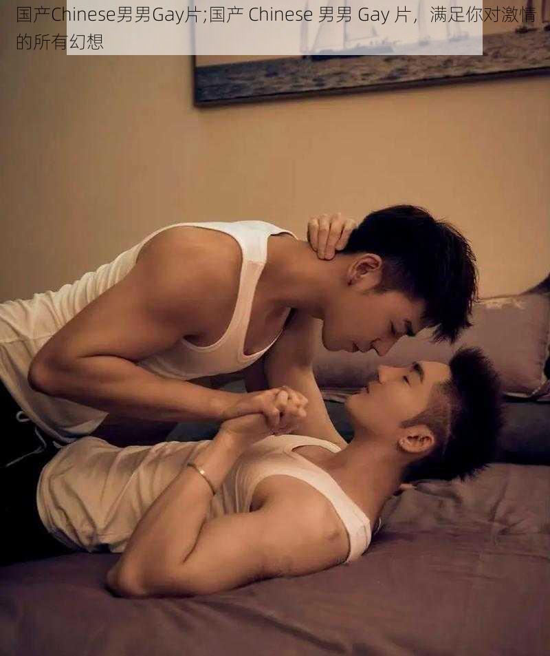 国产Chinese男男Gay片;国产 Chinese 男男 Gay 片,满足你对激情的所有幻想