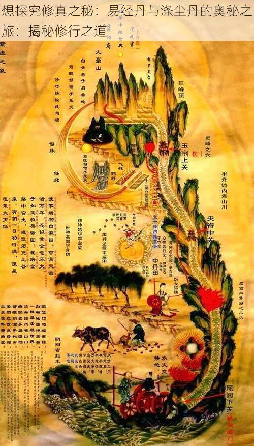 想探究修真之秘:易经丹与涤尘丹的奥秘之旅:揭秘修行之道