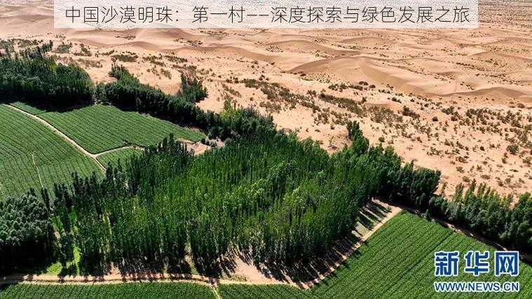 中国沙漠明珠:第一村——深度探索与绿色发展之旅