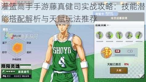 灌篮高手手游藤真健司实战攻略:技能潜能搭配解析与天赋玩法推荐