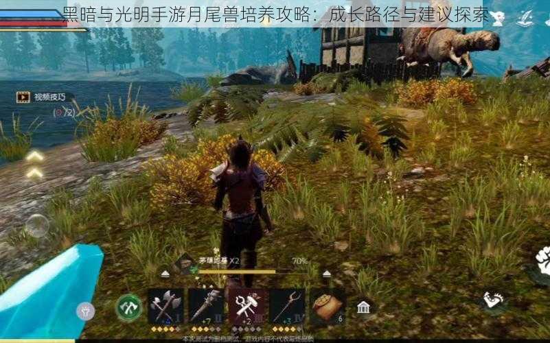 黑暗与光明手游月尾兽培养攻略:成长路径与建议探索